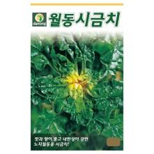 월동시금치씨앗20g