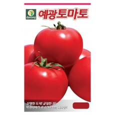 예광큰토마토씨앗