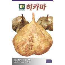 히카마(얌빈)씨앗-멕시코감자 씨앗 10g/500g/1kg