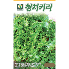 청치커리씨앗 2000립