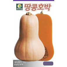 땅콩호박씨앗 10립